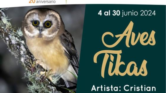 Aves Tikas Expostición