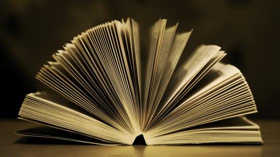 Un libro entre abierto