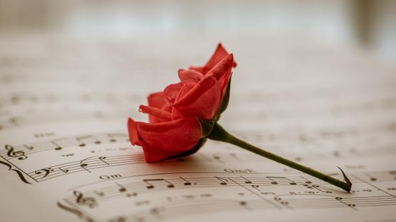 Una flor sobre una partitura