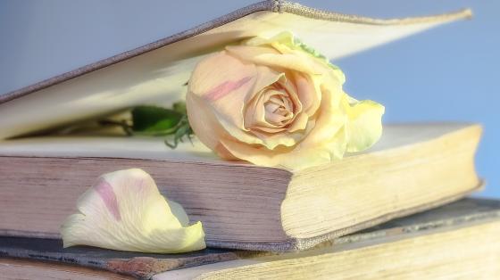Recital de poetas de Palabras Viajeras Un libro entre abierto con una rosa dentro