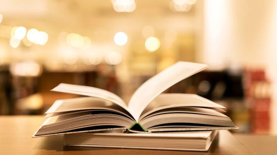 Presentación de los libros El fondo desenfocado, unos libros cerrados y otro abierto