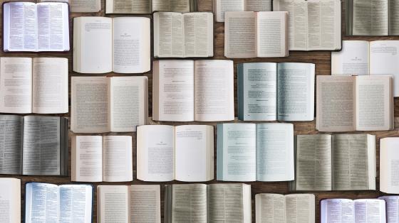Varios libros abiertos juntos vistos desde arriba