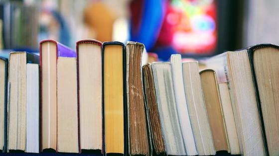 Día de las Tradiciones Sancarleñas. Varios libros en exhibición