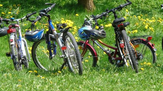 Conmemorando el Día de la Bicicleta en la Biblioteca Varias bicicletas en un campo verde