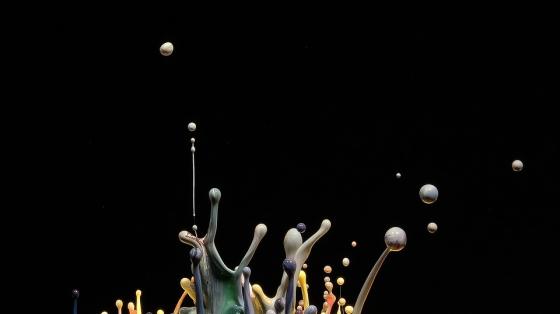 Exposición de obras de los artistas Fondo negro con pintura salpicando