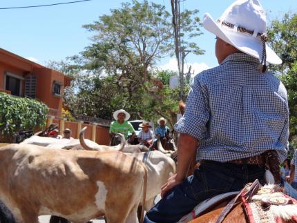 Patrimonio cultural de fiesta: Liberia celebra su tradicional Tope de Toros