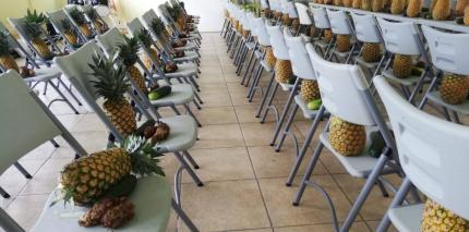 Preparación de paquetes de alimentos que el Ministerio de Educación Pública brinda a las familias de centro educativos que permanecen cerrados por la pandemia. Se preparan con los protocolos pertinentes para que lleguen a toda la zona norte y más allá, ya que la mayoría de estudiantes viajaban de lugares muy lejanos de Ciudad Quesada. Quesada Herrera, Andreína. Preparación de paquetes de alimentos que el Ministerio de Educación Pública brinda a las familias de centro educativos que permanecen cerrados por la pandemia. Se preparan con los protocolos pertinentes para que lleguen a toda la zona norte y más allá, ya que la mayoría de estudiantes viajaban de lugares muy lejanos de Ciudad Quesada. Quesada Herrera, Andreína.