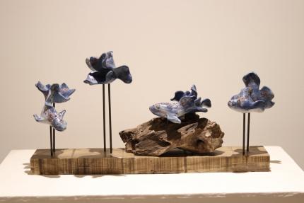 Exposición "Animalística", Museo Calderón Guardia