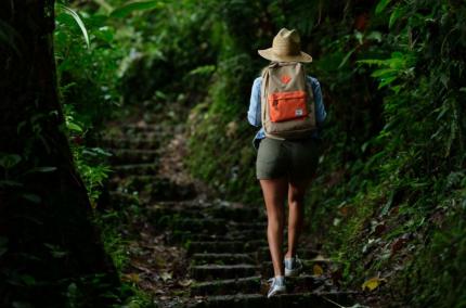 Las primeras seis guías de la serie están dedicadas a Sarapiquí, Tamarindo-Nicoya-Santa Cruz, Golfito-Puerto Jiménez, Turrialba-Jiménez, Los Santos y Monteverde.