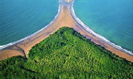Giancarlo Pucci.  Pulmones. Fotografía digital, 2014. Parque Nacional Marino Ballena.