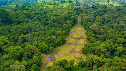 Taller de expertos trazará ruta en restauración de montículo principal del Monumento Nacional Guayabo. Foto: CICPC