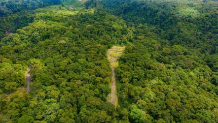 Taller de expertos trazará ruta en restauración de montículo principal del Monumento Nacional Guayabo. Foto: CICPC