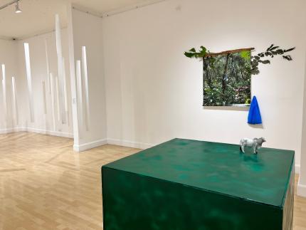 Muestra incluye 12 obras que combinan lenguajes de la fotografía, la instalación y la multimedia Muestra incluye 12 obras que combinan lenguajes de la fotografía, la instalación y la multimedia