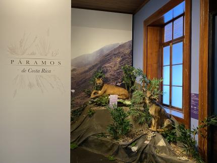 Museo Nacional abrió la muestra “Páramos de Costa Rica”