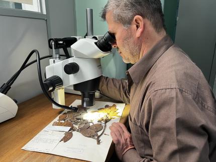 Alexander Rodriguez, botánico del Museo Nacional de Costa Rica