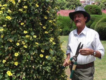Evangelista Blanco tiene 50 años de trabajar dando forma a las figuras de ciprés del parque de Zarcero. Fotografía: Unidad de Comunicación, MCJ Evangelista Blanco tiene 50 años de trabajar dando forma a las figuras de ciprés del parque de Zarcero. Fotografía: Unidad de Comunicación, MCJ