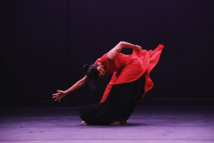 Coreografía de danza contemporánea se presentará del 25 al 27 de agosto, en el Teatro de la Danza, ubicado en el Centro Nacional de la Cultura