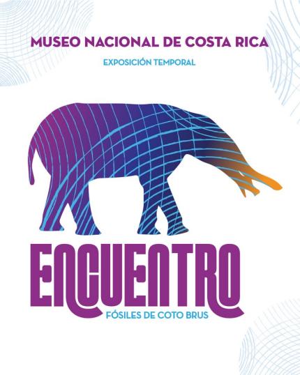 Conozca fósiles de la megafauna que habitó el país Conozca fósiles de la megafauna que habitó el país