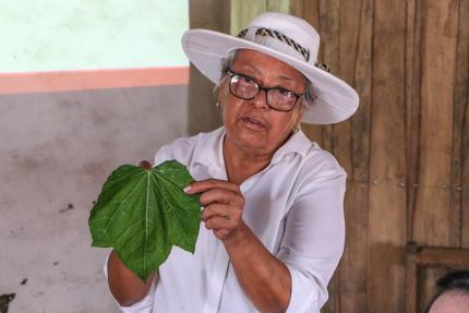 Magdalena Angulo, portadora de tradición en temas de gastronomía criolla guanacasteca. Fotografía: MCJ Magdalena Angulo, portadora de tradición en temas de gastronomía criolla guanacasteca. Fotografía: MCJ
