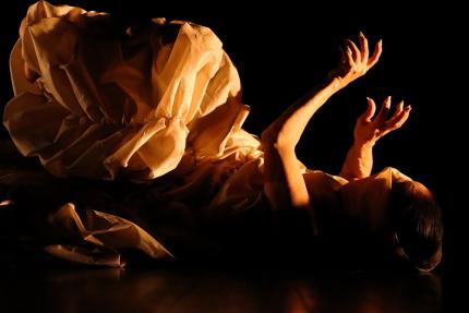 "Coleóptera", Compañía Nacional de Danza "Coleóptera", Compañía Nacional de Danza