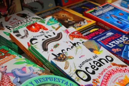 Fiesta Nacional de la Lectura 2025 ofrecerá libros, poesía y un homenaje a la escritora Lara Ríos Fiesta Nacional de la Lectura 2025 ofrecerá libros, poesía y un homenaje a la escritora Lara Ríos
