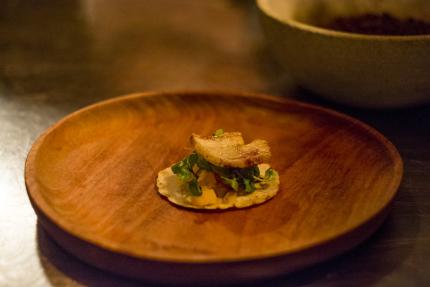 Ivannia-8-2.jpg Ivannia-8-2.jpg