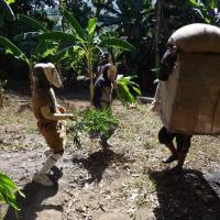 Juego de los Diablitos, Rey Curré, Buenos Aires, Puntarenas
