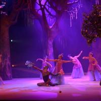 "El pájaro de fuego", Compañía Nacional de Danza. Foto: TNCR