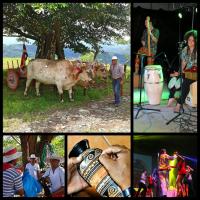 ¡Quédese en casa y disfrute la oferta cultural  que le brinda el MCJ!