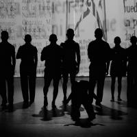 Elenco de la Compañía Nacional de Danza. Crédito Luis Alvarado