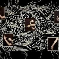 Exposición “¿Qué hay después del arte contemporáneo?”, MADC