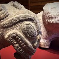 “Legado en Piedra”, nueva exposición temporal del Museo Nacional de Costa Rica