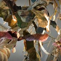 Detalle Bosque de sargazo. Óscar Ruiz-Schmidt. MADC