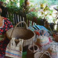 Carmen Parra Sánchez, indígena de Zapatón, Puriscal, trabaja artesanalmente cestería en varias fibras naturales como tule, estococa y chira, según comentó. Foto CICPC