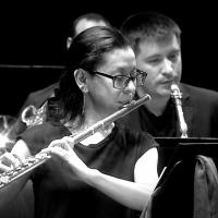 La “Fiesta de la Música” es un llamado a la participación espontánea y gratuita dirigida tanto a los músicos aficionados como a los profesionales; los organizadores se comprometen a promover, en este marco, la práctica musical y la música viva, sin espíritu de lucro.