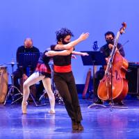 danza