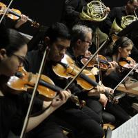 musica 