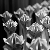 Estatuillas de los Premios Nacionales de Cultura