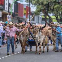 Boyeo costarricense 