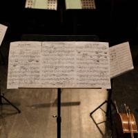 Orquesta Sinfónica de Mujeres 