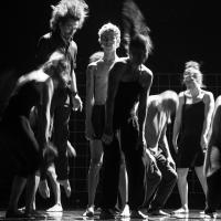 Fotografía: Danza U. TNCR.