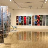 “naturÁnima”, de las artistas Ariane Garnier y Carma Casulá, expone las singularidades de los paisajes y las gentes de la zona azul en la península de Nicoya