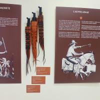 Muestra itinerante abrió en el Centro Cultural e Histórico José Figueres Ferrer, en San Ramón, y estará disponible hasta el 21 de noviembre de 2022