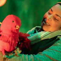 Funciones serán el 6, 7, 8 y 9 de octubre, en el Teatro 1887, ubicado en el Cenac