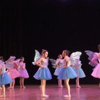 Talleres inician desde el 10 de enero de 2023, en la sede central del Taller Nacional de Danza, en Barrio Escalante  