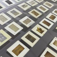 Propuesta expositiva “Rojo Vivace” celebra 40 años de trayectoria y versatilidad plástica de la artista alajuelense Dinorah Carballo Jiménez