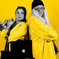Funciones del 16 de junio al 09 de julio, en el Teatro Vargas Calvo