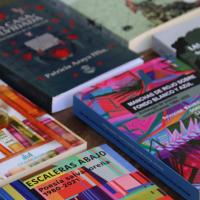 Ministerio de Cultura y Juventud anuncia proyectos seleccionados para recibir apoyo del fondo concursable “Salvamento Literario” del Colegio de Costa Rica