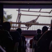 Fin de semana llega cargado de cine y música