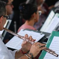 Fotografía Bandas 